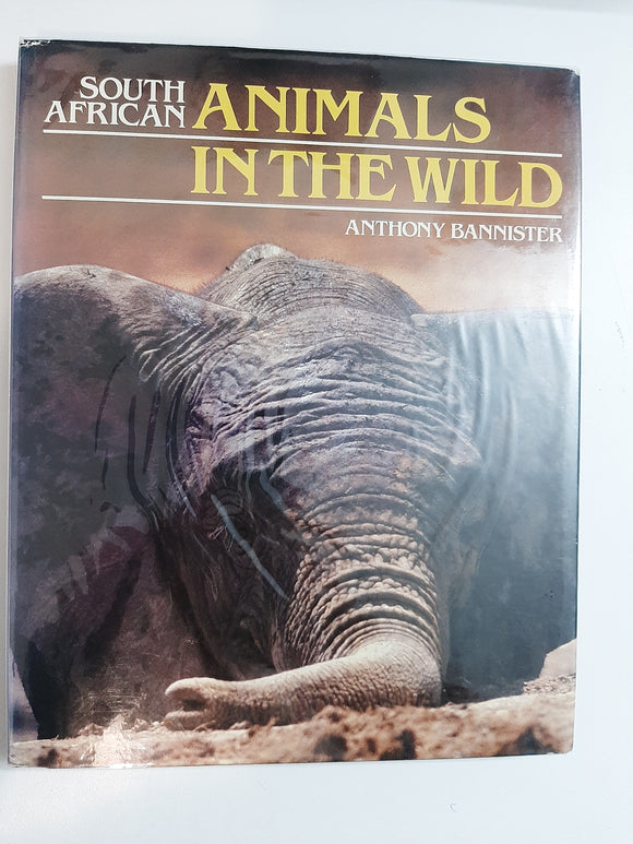 South African Animals In The Wild By Anthony Bannister