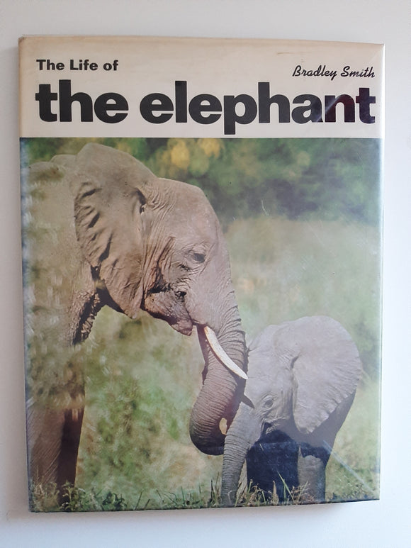 The Life of the Elephant By Bradley Smith