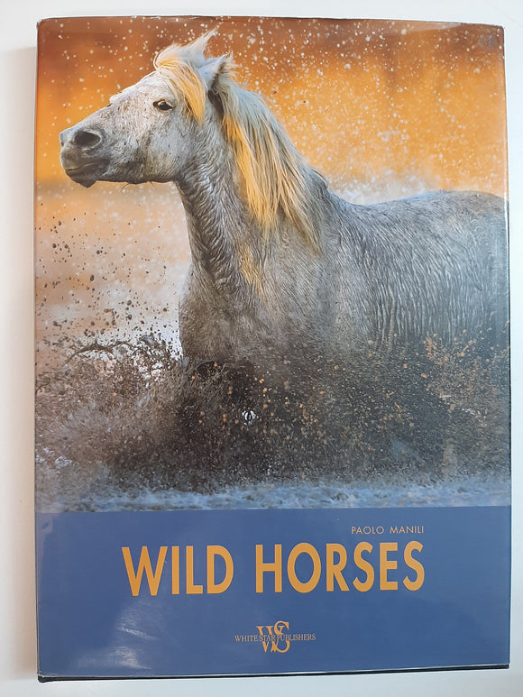Wild Horses By Paolo Manili