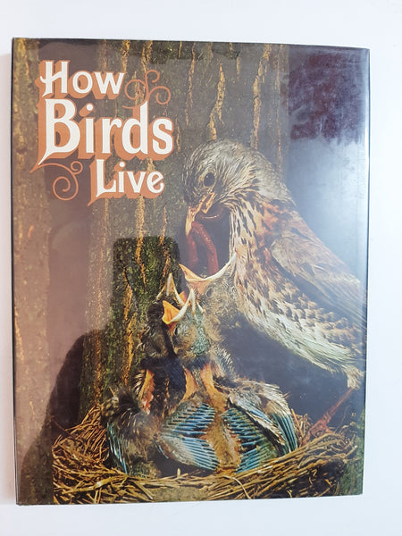How Birds Live By Robert Burton
