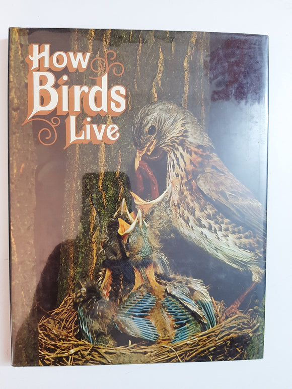 How Birds Live By Robert Burton