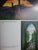 Tiffany Windows By Alastair Duncan