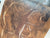 Major Rock Paintings of Southern Africa By R Townley Johnson