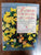 Flowers for Special Occasions: Fifty Fresh and Dried Flower Designs for Celebratory Occasions By Fiona Barnett