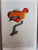 Classical Natural History Prints: Birds By S. Peter Dance