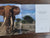 In Search of Africa s Great Tuskers by Marais, Johan; Ainslie, Ala
