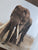 In Search of Africa s Great Tuskers by Marais, Johan; Ainslie, Ala