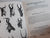 Rowland Ward's Records of big game Eighteenth Edition(Africa) 1981