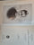 Letters from a Boer parsonage. Letters of Margaret Marquard during the Boer War / edited by Leo Marquard. [Illustrated.] by Margaret Marquard