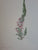 Arabella Roupell. Pioneer Artist of Cape Flowers. Limited Edition 493/625 by Allan Bird