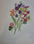 Arabella Roupell. Pioneer Artist of Cape Flowers. Limited Edition 493/625 by Allan Bird
