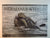 HERMANUS WHALES: A Photographic Journey with Southern Right Whales by Dave de Beer
