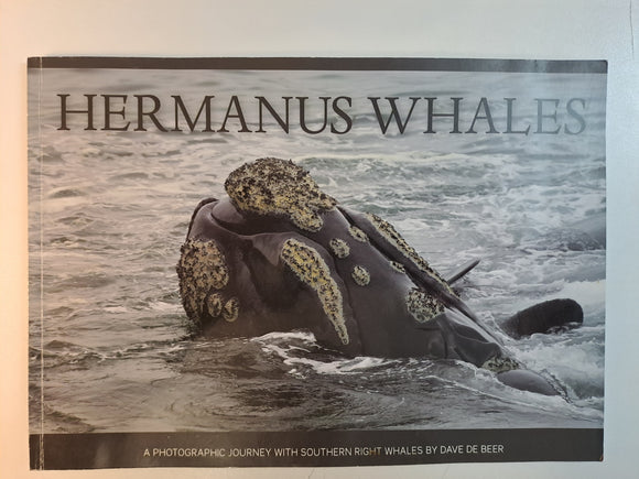 HERMANUS WHALES: A Photographic Journey with Southern Right Whales by Dave de Beer