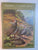Gamebirds of Southern Africa by P A Clancey