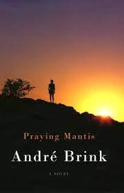 Praying Mantis by Andre Brink
