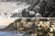 Cape Town: Then and Now Book by Anne Clarkson and Vincent Van Graan