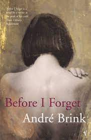 Before I Forget by Brink-Andre